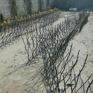 مشاهده عکس مدل های متنوع حفاظ شاخ گوزنی