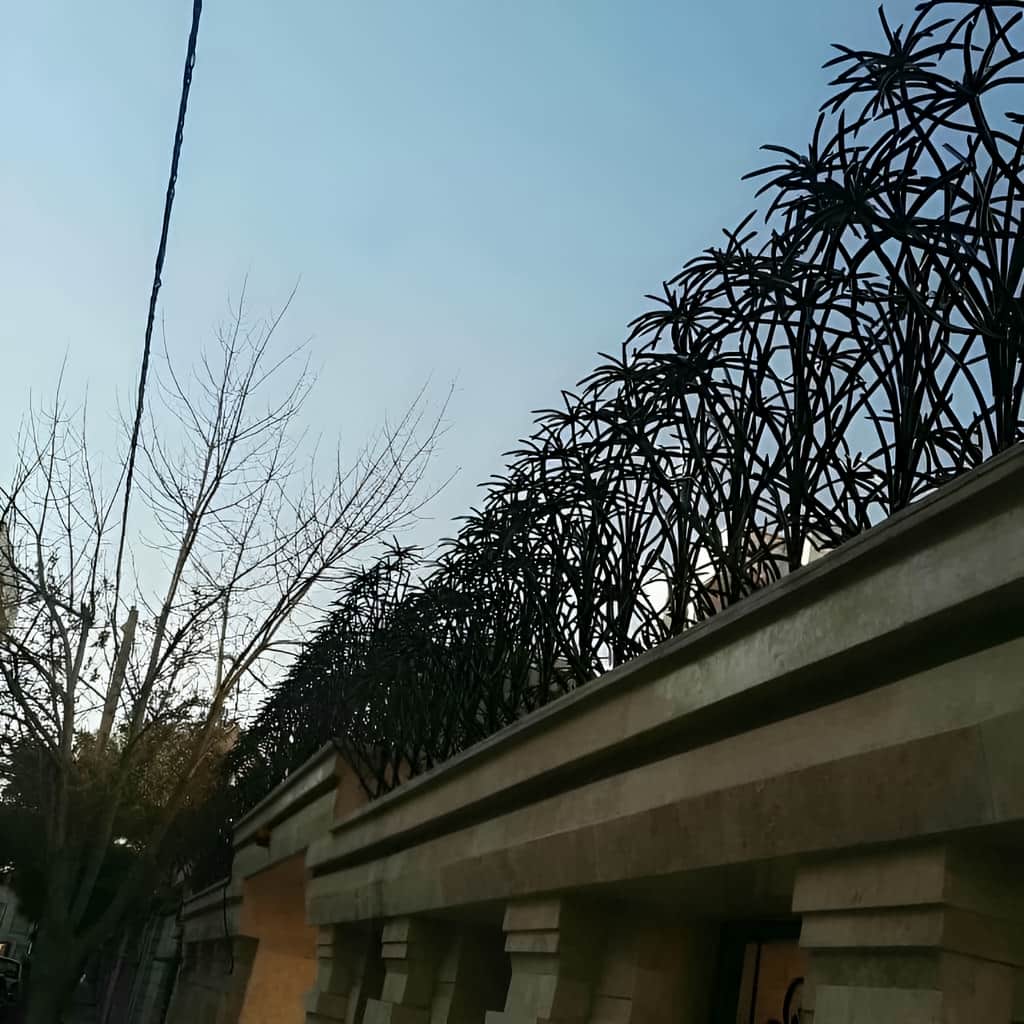 حفاظ نخل مرداب ۹ حفاظ نخل مرداب