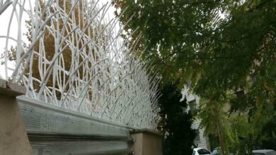 حفاظ شاخ گوزنی دیوار ساختمان در کرج