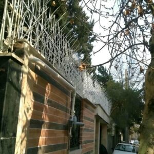 حفاظ شاخ گوزنی دیوار ساختمان در شهریار