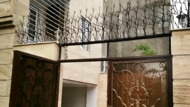 حفاظ شاخ گوزنی دیوار ساختمان در کیش