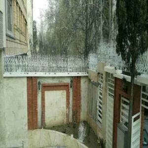 حفاظ شاخ گوزنی دیوار ساختمان در نیشابور