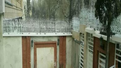 حفاظ شاخ گوزنی دیوار ساختمان در نیشابور