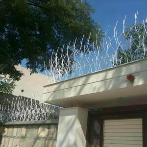 حفاظ شاخ گوزنی دیوار ساختمان در بیرجند