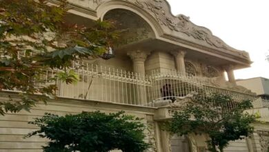 حفاظ شاخ گوزنی دیوار ساختمان در کرمانشاه