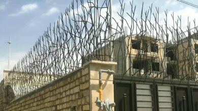 حفاظ شاخ گوزنی دیوار ساختمان در شیراز