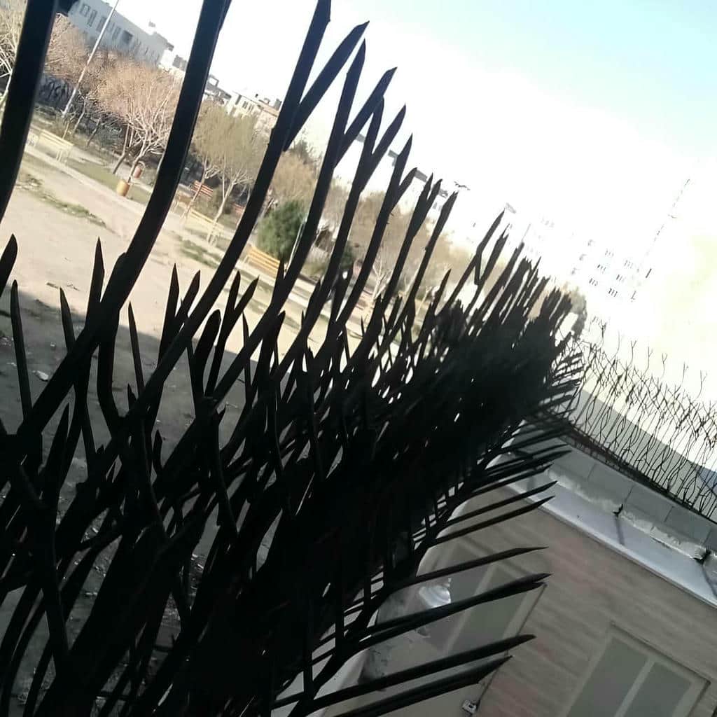 نصب حفاظ شاخ گوزنی دیوار ساختمان رنگ کوره ای در بندر دیلم