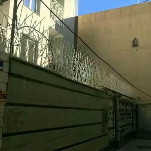 حفاظ شاخ گوزنی دیوار ساختمان در قم