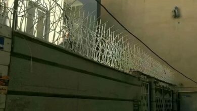 حفاظ شاخ گوزنی دیوار ساختمان در قم
