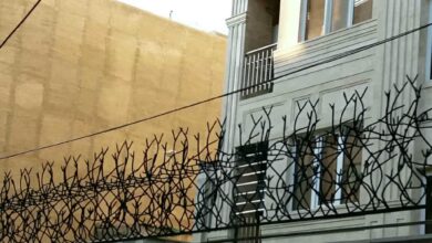 حفاظ شاخ گوزنی دیوار ساختمان در یزد