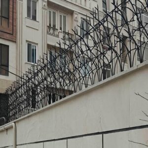 حفاظ شاخ گوزنی دیوار ساختمان در قشم