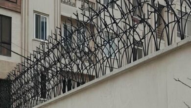 حفاظ شاخ گوزنی دیوار ساختمان در قشم