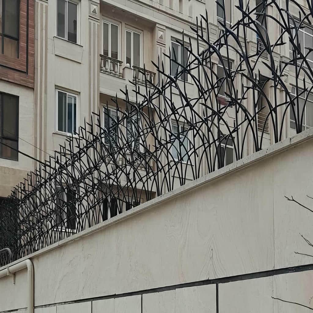 حفاظ شاخ گوزنی دیوار ساختمان در قشم