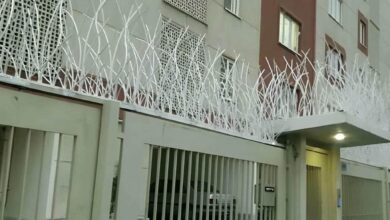 حفاظ شاخ گوزنی دیوار ساختمان در بابل