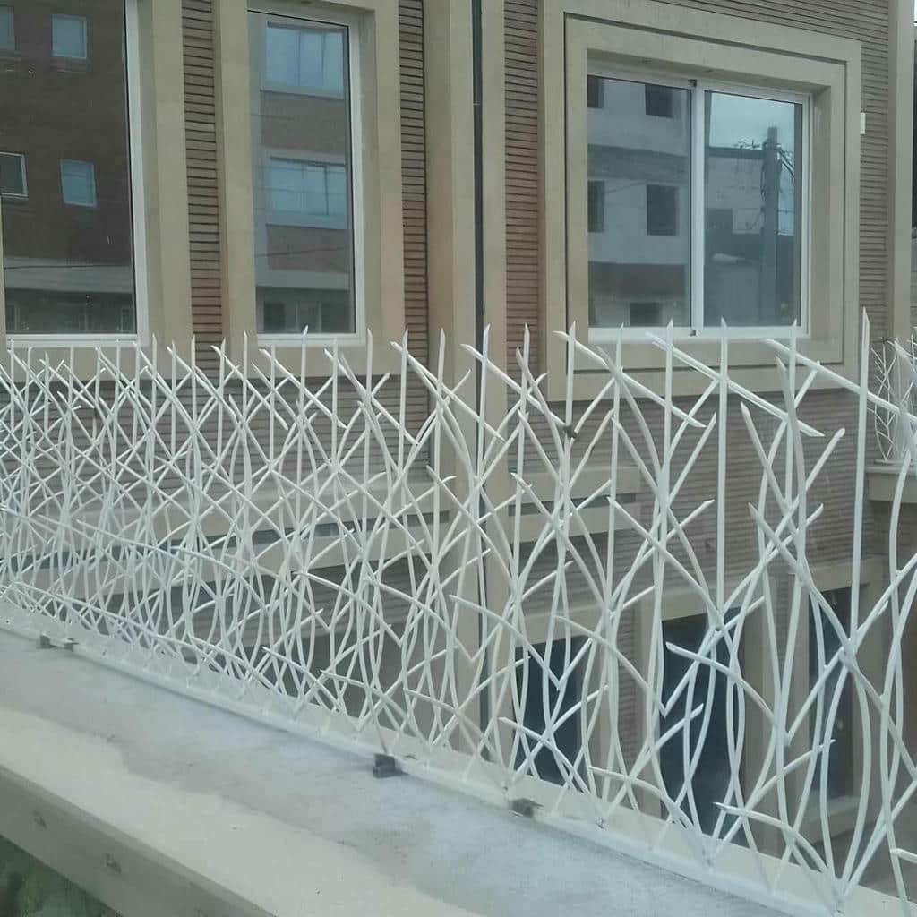 حفاظ شاخ گوزنی دیوار ساختمان در رفسنجان