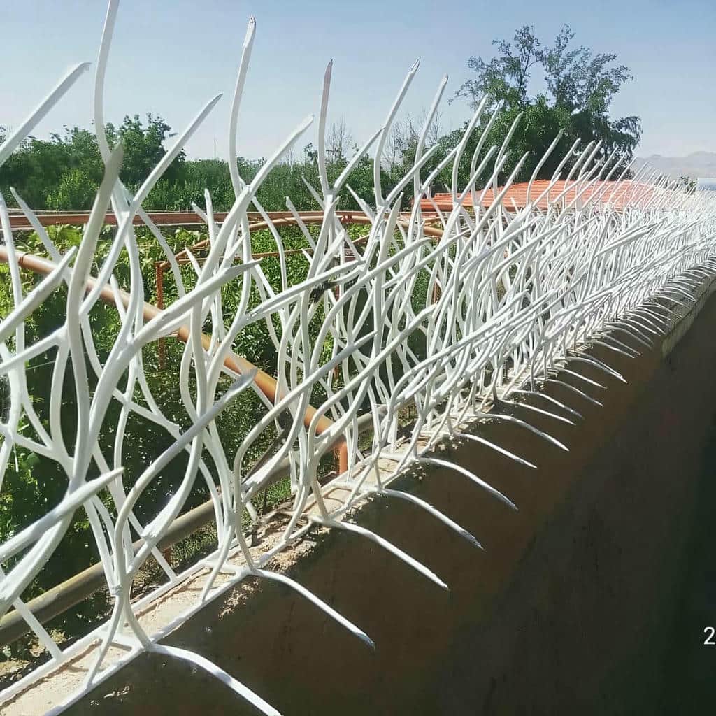 خرید حفاظ شاخ گوزنی دیوار ساختمان با میلگرد تقویت‌شده در عظیمیه کرج