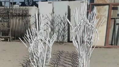 حفاظ شاخ گوزنی دیوار ساختمان در شهرکرد