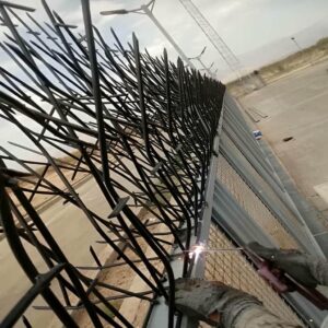 حفاظ شاخ گوزنی دیوار ساختمان در بندر لنگه
