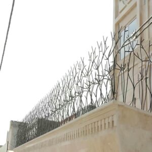 حفاظ شاخ گوزنی دیوار ساختمان در استان گیلان