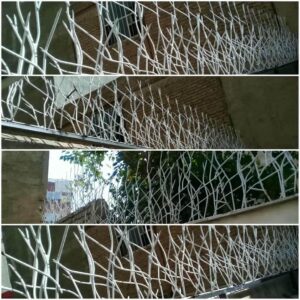 حفاظ شاخ گوزنی دیوار ساختمان در آبادان