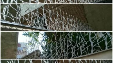 حفاظ شاخ گوزنی دیوار ساختمان در آبادان
