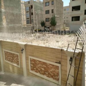 حفاظ شاخ گوزنی دیوار ساختمان در قائمشهر