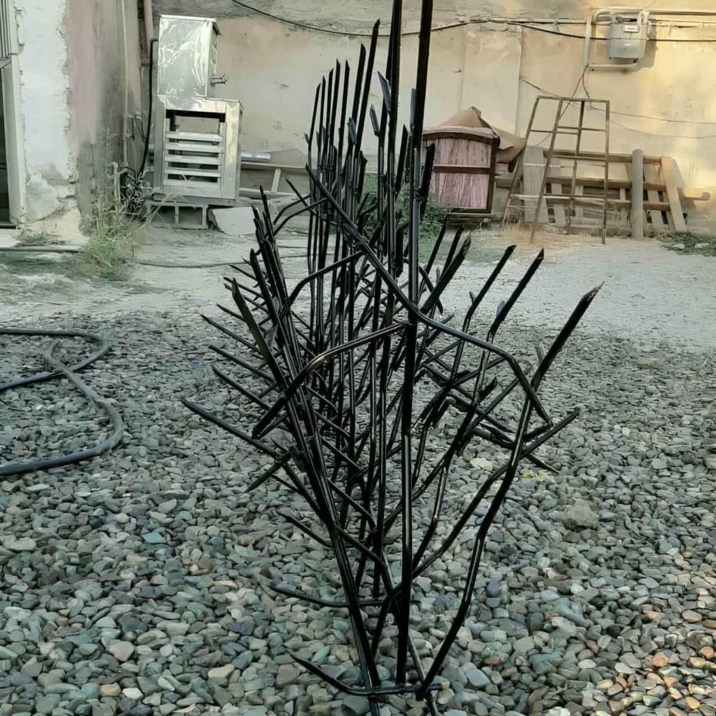 خرید حفاظ شاخ گوزنی دیوار ساختمان شاخه متراکم در محمدشهر