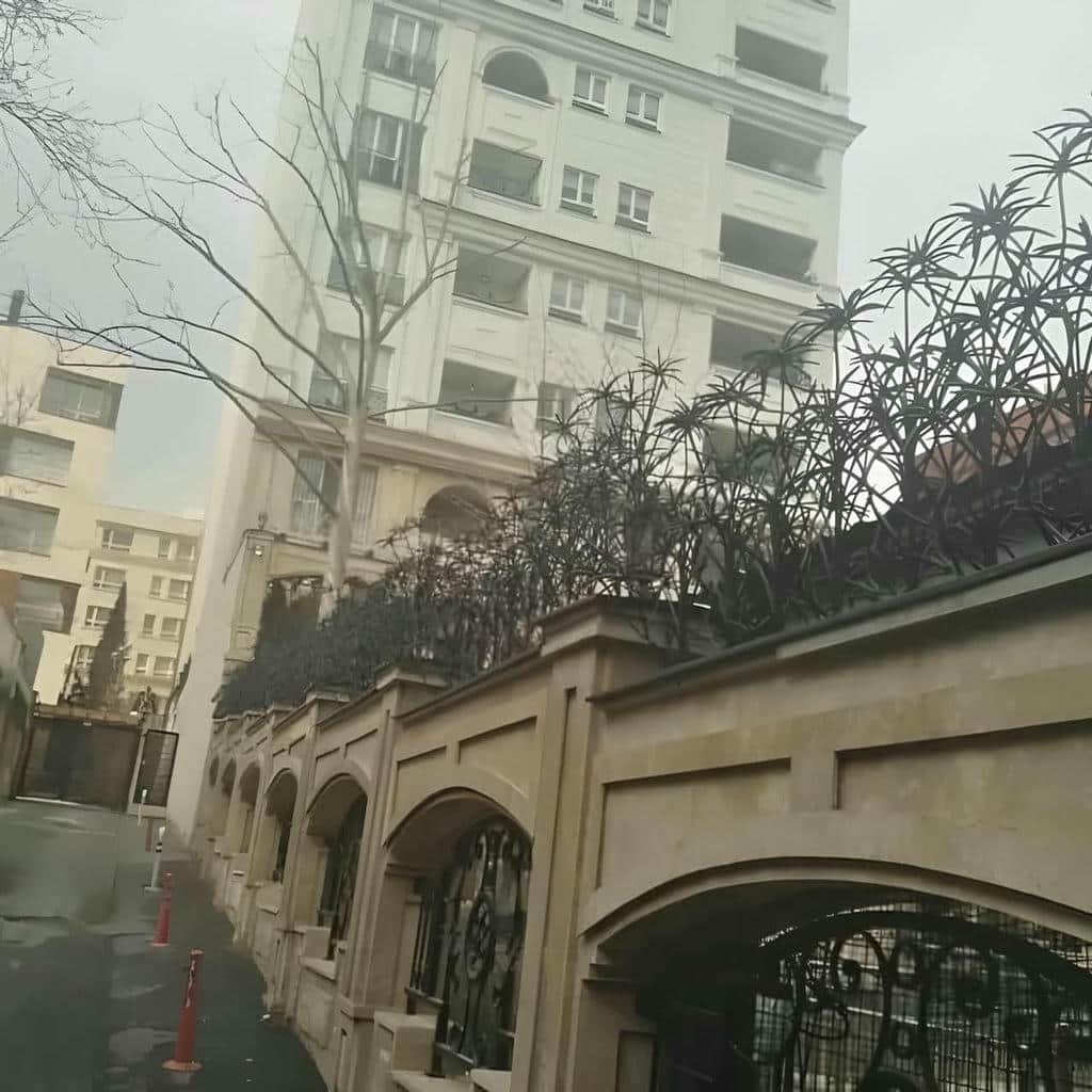 کارخانه حفاظ شاخ گوزنی دیوار ساختمان شاخه نوک‌تیز در مهرشهر کرج