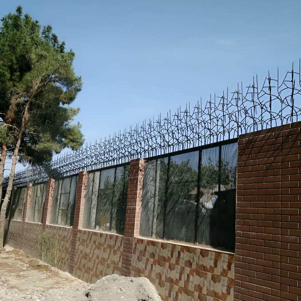 خرید حفاظ شاخ گوزنی دیوار ساختمان شاخه متراکم در پرند