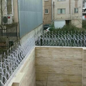 حفاظ شاخ گوزنی دیوار ساختمان در سیرجان