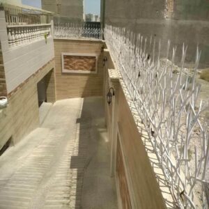 حفاظ شاخ گوزنی دیوار ساختمان در استان مازندران
