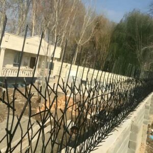 حفاظ شاخ گوزنی دیوار ساختمان در بومهن