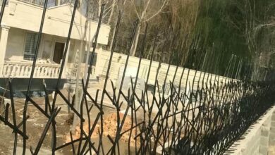 حفاظ شاخ گوزنی دیوار ساختمان در بومهن