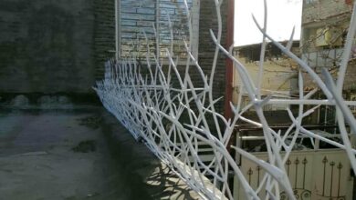 حفاظ شاخ گوزنی دیوار ساختمان در رشت