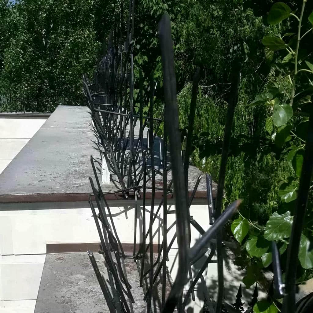 قیمت حفاظ شاخ گوزنی دیوار ساختمان رنگ کوره ای در استان خوزستان