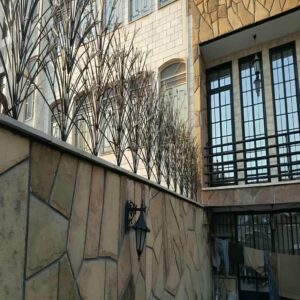 حفاظ شاخ گوزنی دیوار ساختمان در نسیم شهر
