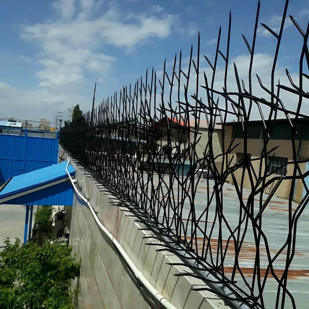 کارخانه حفاظ شاخ گوزنی دیوار ساختمان فولاد استاندارد در مریوان