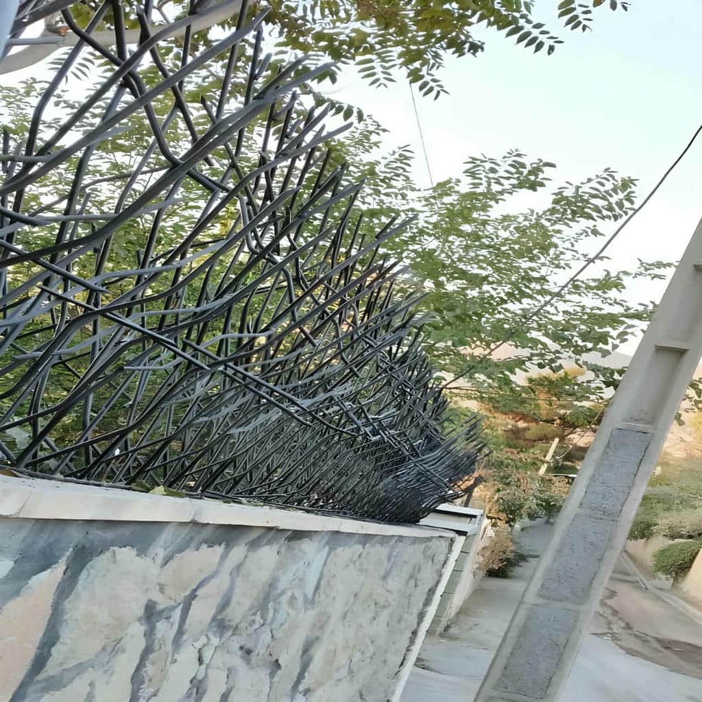 حفاظ شاخ گوزنی دیوار ساختمان در بجنورد