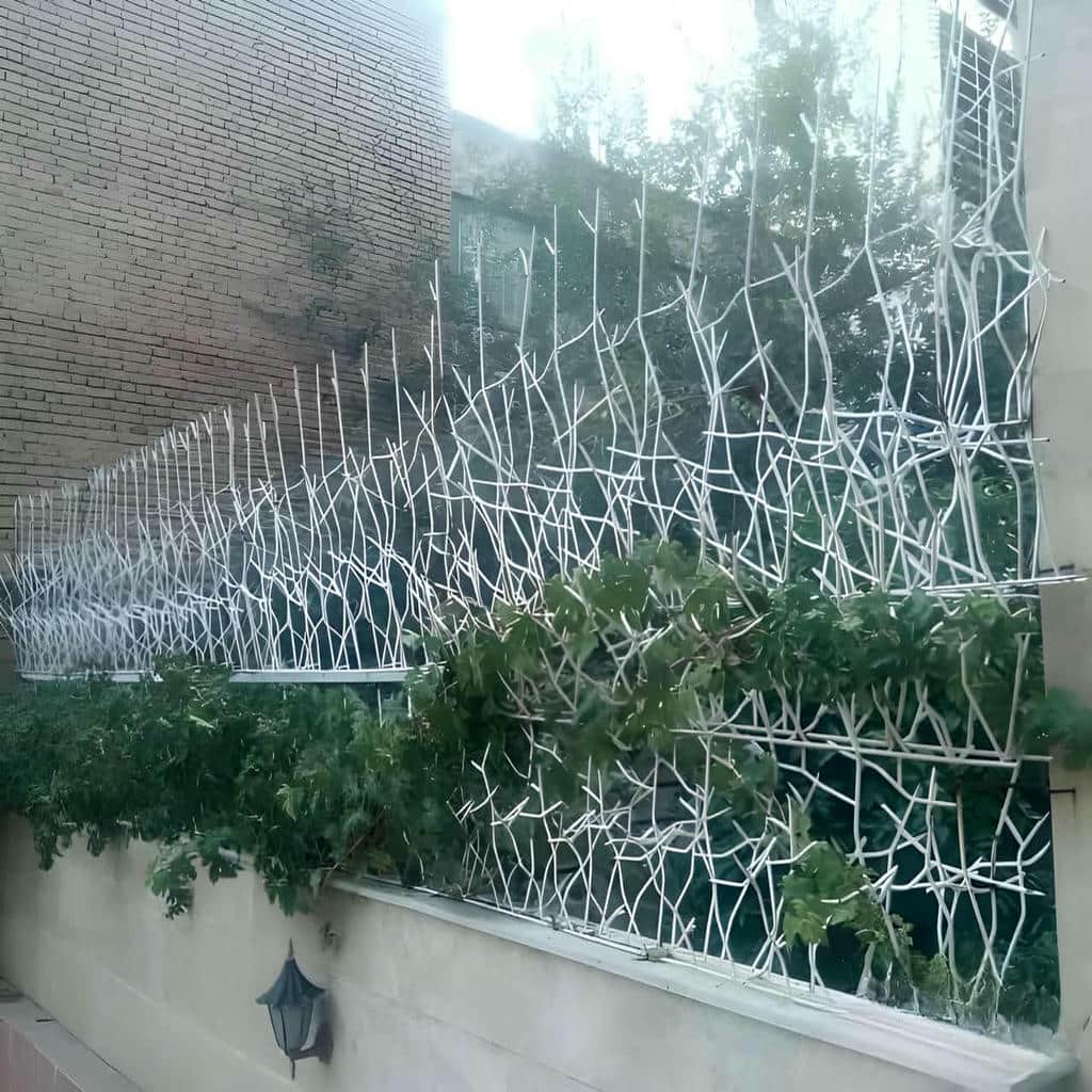 خرید حفاظ شاخ گوزنی دیوار ساختمان تراکم اقتصادی در نوشهر