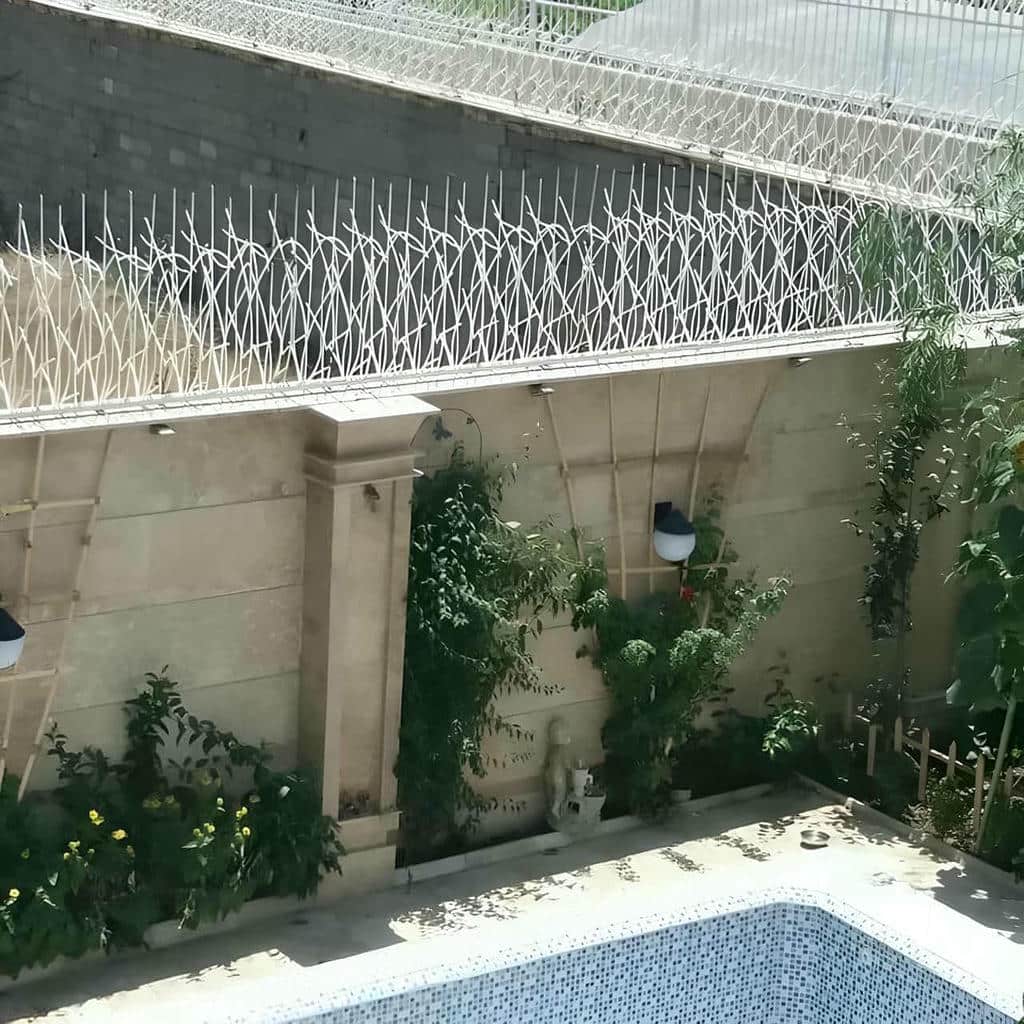 خرید حفاظ شاخ گوزنی دیوار ساختمان متراکم در فیروزکوه