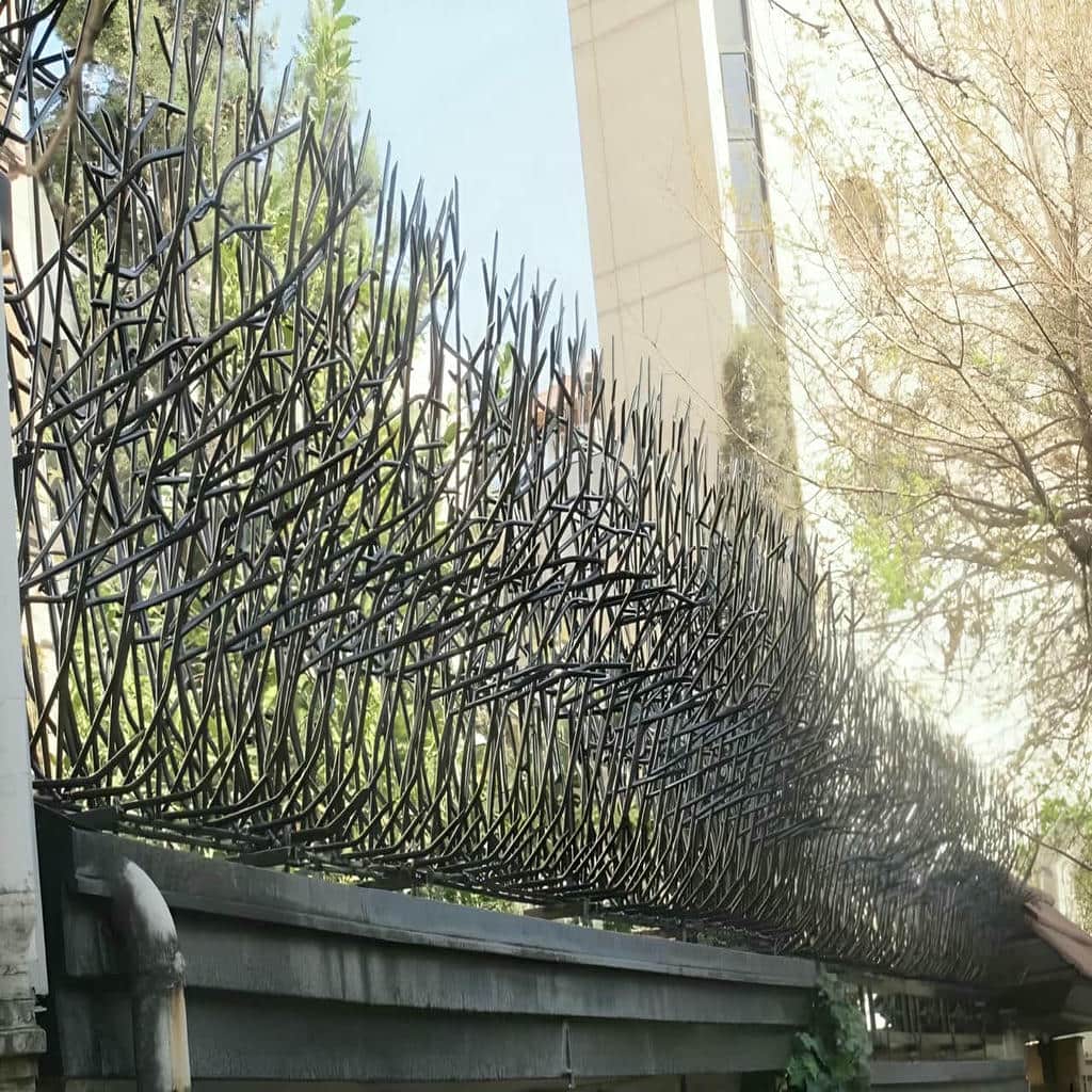 حفاظ شاخ گوزنی دیوار ساختمان در محمدشهر