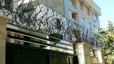 حفاظ شاخ گوزنی دیوار ساختمان در ارومیه