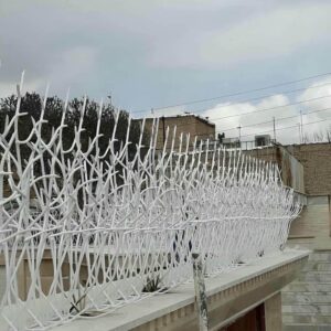 حفاظ شاخ گوزنی دیوار ساختمان در نظرآباد