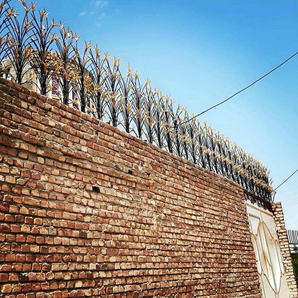 حفاظ شاخ گوزنی دیوار ساختمان در استان خوزستان