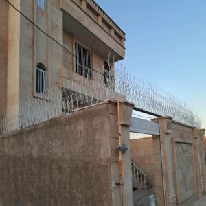 حفاظ شاخ گوزنی دیوار ساختمان در گنبدکاووس
