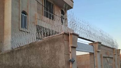 حفاظ شاخ گوزنی دیوار ساختمان در گنبدکاووس