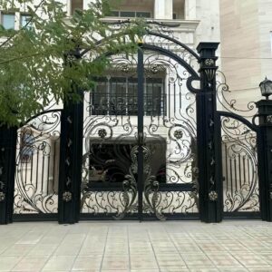 درب حیاط در سیرجان