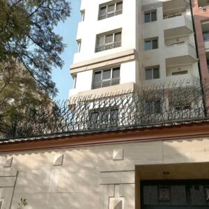 حفاظ شاخ گوزنی دیوار؛ مدل پرفروش برای ساختمان و ویلا