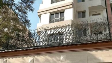 حفاظ شاخ گوزنی دیوار؛ مدل پرفروش برای ساختمان و ویلا
