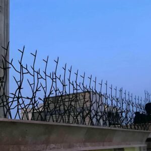 انتخاب حفاظ مناسب روی دیوار برای خانه، ویلا و باغ